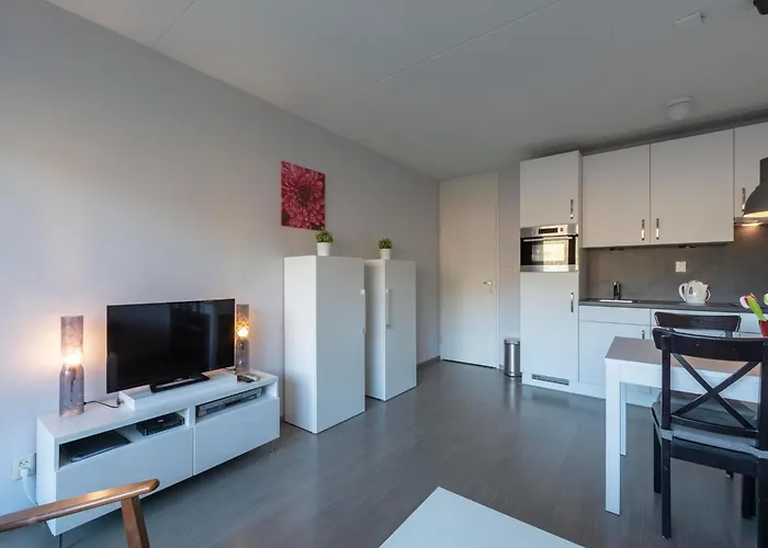 Appartement In Near The Beach, Pet Cost Inclusive Callantsoog